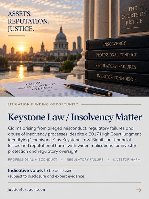Lawyer or Law Firm Disputes poster